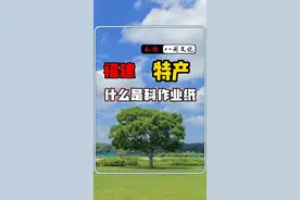 为福建特产点赞#福建 