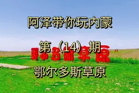 鄂尔多斯，一个古老的蒙古族部落，这里不但有无边的草原视频封面