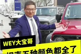 TK300五种颜色都全了，希望对颜色选择有所帮助😊#wey坦克300#weysuv#国产车