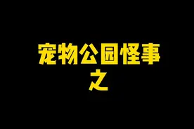 昨天公园发生了一件怪事，你们快帮我看看到底该相信谁说的话！#宠物公园 #狗狗 #日常 #拉布拉多