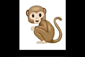 这只猴子做梦都想不到在你们的要求下成为了公主。视频封面