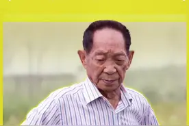 放大招！袁隆平海水稻团队拟用8-10年，实现1亿亩盐碱地变良田的目标。