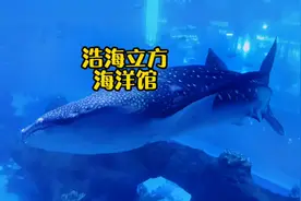 浩海立方海洋馆 终于打折了#海洋生物 #海底世界 #海洋馆打卡视频封面