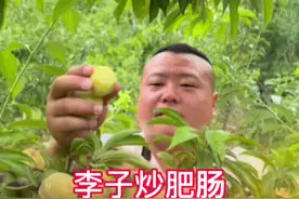 李子炒肥肠。做法简单味道好，香而不腻下饭多。有条件的朋友可以试试#三农 #抖音美食推荐官 #新农人计划 #李子炒猪大肠 