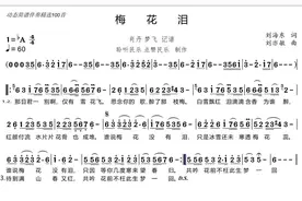 动态简谱伴奏精选100首《梅花泪》修正版