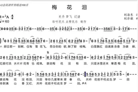 动态简谱伴奏精选100首《梅花泪》修正版视频封面