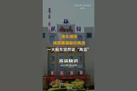 清仓减持！陕西黑猫股价飙涨  一大股东突然说“再见”#减持#陕西黑猫视频封面