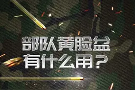 部队里的黄脸盆有什么用？#黄脸盆 #部队 #冷知识 #兵哥哥兵哥哥