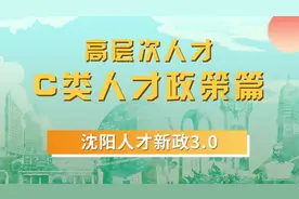 沈阳人才新政3.0（高层次人才 C类人才政策篇）#高薪职业 #就业视频封面