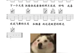 下一个天亮#吉他谱 #吉他弹唱 #下一个天亮 @抖音短视频视频封面