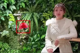 关于安全帽的颜色，你真的分得清吗？#工程人 #建设工程 #土木工程 #造价工程师 #二建 @抖音短视频