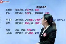 执业药师中药二考试大纲，历年考点整理——清热凉血药小结