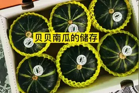 贝贝南瓜的储存方法。 怎样才能达到最佳口感？视频封面