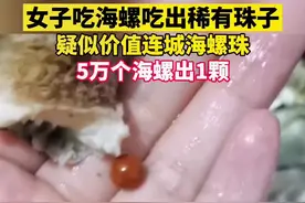 安徽蚌埠，女子吃海螺吃出稀有珠子，疑似价值连城的海螺珠！视频封面
