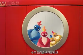 趣趣知知鸟第一季 第24集 里面《趣趣知知鸟视频封面
