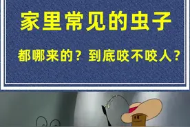 家里莫名出现的小虫子，到底咬不咬人？从哪来的？帮你解开多年疑惑 #科普 #冷知识 