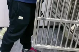 家里新添个大件儿跑步机，先给二哈5公里安排上😂视频封面