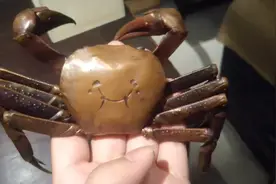 铜螃蟹是刷的漆？？这次看个清楚🤓#手艺人 #摆件 #匠心匠人视频封面