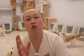 化毛膏主要是用来通肠润便#布偶猫 #科学养猫攻略视频封面