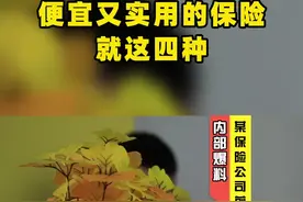 业务员透露：便宜又实用的保险就这4种，人再穷也要买！#保险 #干货 