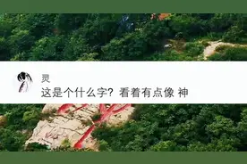 中国载入世界吉尼斯纪录的汉字！#神评论  #视觉艺术 #抖音看世界