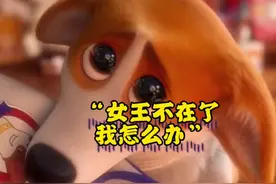 女王陛下留下了三条幸存的狗--两只柯基犬和一只多吉犬。#英国