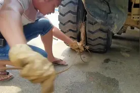 渣土车轮胎夹石头，我拍有三种方法，大家觉得那种好。当然还有很多方法只是没拍到