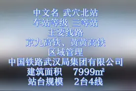 黄黄高铁线路途经四望镇、大金镇、花桥镇，境内设武穴北站#黄黄高铁#武穴北站视频封面