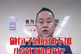 家人们做包子和面到底加不加小苏打和食碱、你了解吗#包子 #抖音小助手 @企业号小助手视频封面