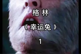 幸运兔的左脚是无价之宝  放在床底 三天即可受孕#格林 视频封面
