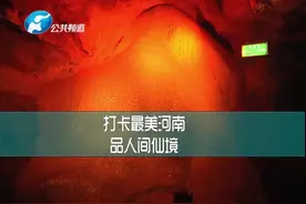 "打卡最美河南"旅游指南!景区门票免费送,你还等什么?视频封面
