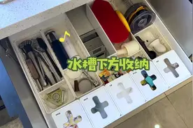 沉浸式下水槽改造与收纳视频封面