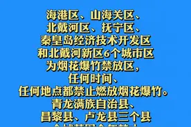 河北5地明确了！今年春节能放烟花爆竹吗？#河北 #烟花爆竹 #禁止燃放 视频封面