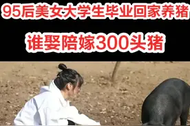 河南女孩大学毕业后回村养近2000头猪，父亲：谁娶陪嫁300头猪！女孩说要带领村里贫困户养猪脱贫👍️视频封面