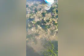 有说我是买来摆着拍的，难道在你心中，我是土豪吗？？