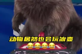 土拨鼠居然也会玩冰壶！你见过动物版冬奥会吗？#冰雪2022 #北京冬奥会 #动物冬奥会视频封面