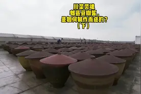 豆瓣酱怎么辨别好坏？哪种更好呢？你会挑吗？#美食 #郫县豆瓣酱