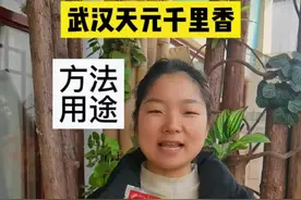 武汉天元饵料四种千里香你们知道什么作用和用法吗？#饵料搭配 #天元鱼饵 #钓鱼人 #入冬钓鱼指南 #鲫鱼饵料 视频封面