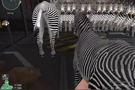 没想到有朝一日，我竟然把穿越火线玩成了动物园