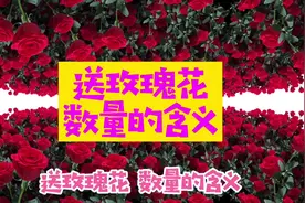 史上最全，最完整送玫瑰花数量的含义 你知道有几种？