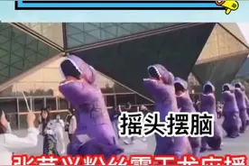 #张艺兴#蔡徐坤#周震南粉丝奇葩应援大盘点！爱豆的脸挂不住了视频封面