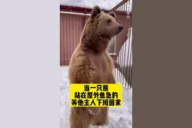 当一只熊站在屋外等你回家！#俄罗斯生活 #俄罗斯 #战斗民族 #熊视频封面