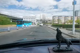 弟弟从外地来了，姐姐晚上请客吃饭视频封面