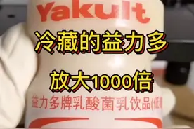不宜饭前饮用会导致饱腹感而食欲不佳#益力多视频封面