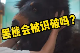 假扮黑熊逗路人，看笑了#动物园里有什么 #路人视角 #周末去哪玩 视频封面
