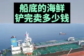 组个队去刮船吧。vlcc就是载重20-30w吨之间的超大型油轮。#创作人计划 #知识创作人 #航海林俊杰视频封面