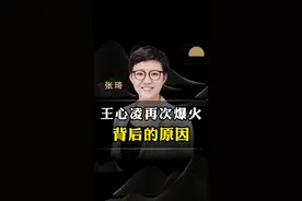 王心凌再次爆火背后的原因！#商业思维 #王心凌 #男人 #80后 #张琦 视频封面