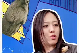 #冷知识 #知识科普 #把知识装进脑袋 #每天跟我涨知识 #科普 一只熊掉进4.916米的洞里，请问熊是什么颜色？