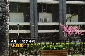 华北飞絮盛飘！南方同学见到飘絮连呼夸张#北京飘起四月雪 #杨絮 #柳絮视频封面