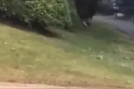 #胡歌 跑错片场太有意思了#看一次笑一次 太接地气了。
